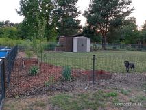 Działka rod Radom Firlej, ul. Wincentego Witosa. Zdjęcie 2