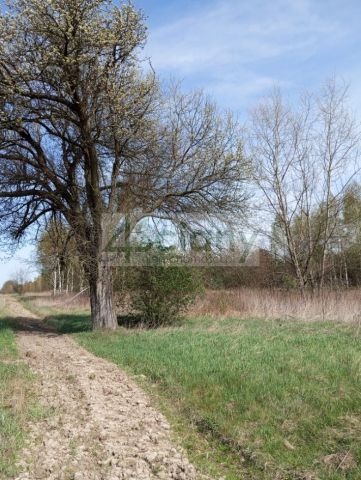 Działka budowlana Jasienica. Zdjęcie 5