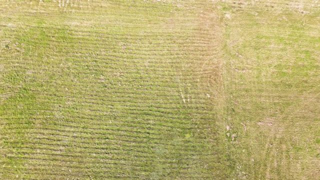 Działka budowlana Semlin, os. Leśne. Zdjęcie 15