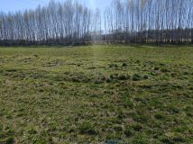 Działka budowlana Widełka. Zdjęcie 4