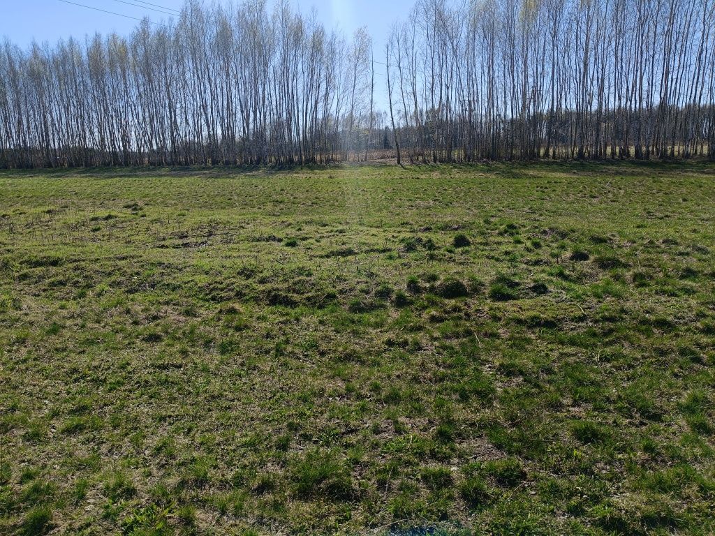 Działka budowlana Widełka. Zdjęcie 5