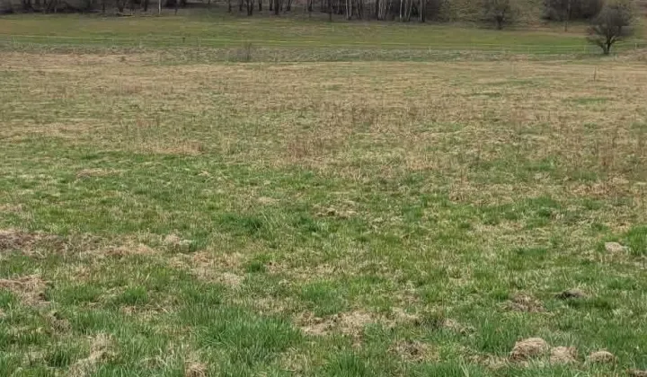 Działka budowlana Szczytna, ul. Polna