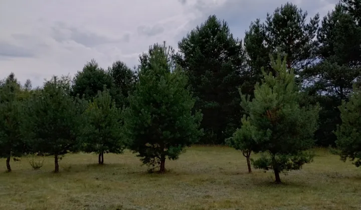 Działka budowlana Adamowo