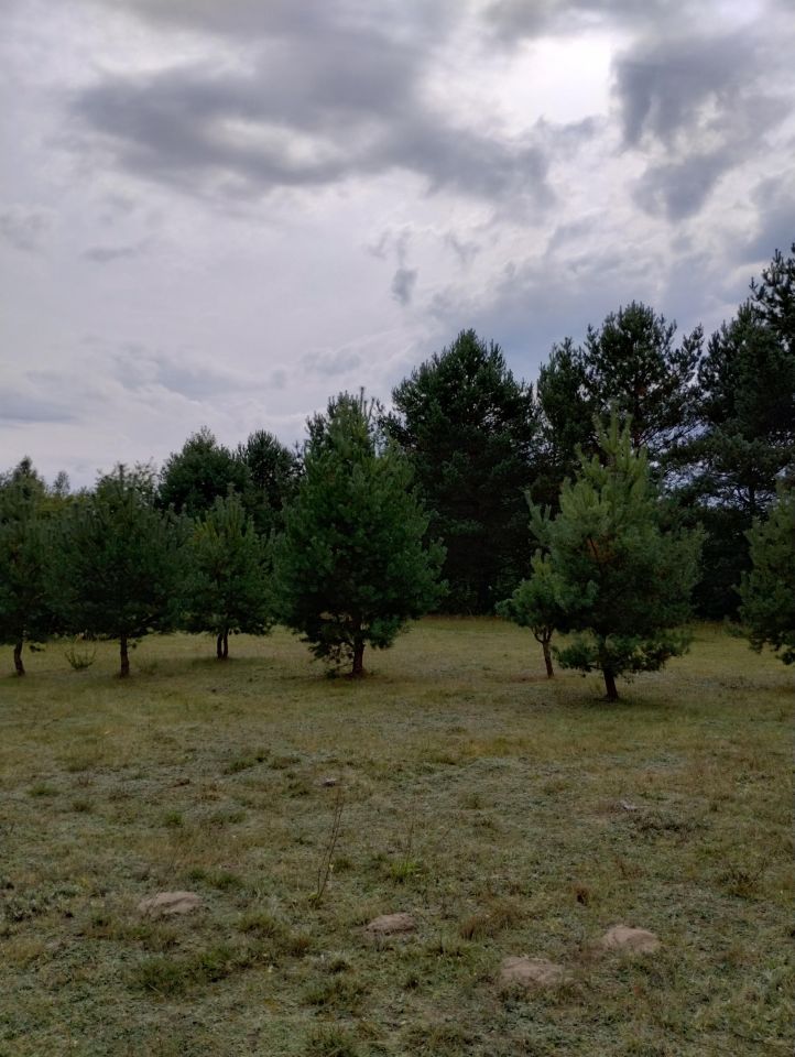 Działka budowlana Adamowo. Zdjęcie 2