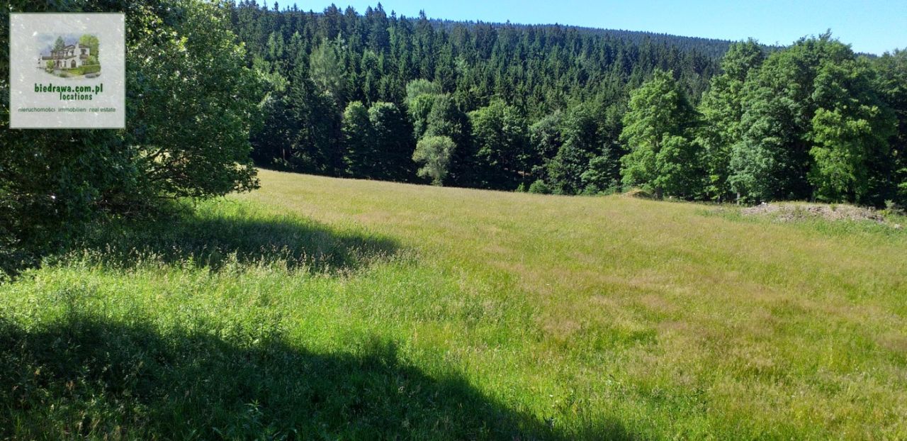 Działka budowlana Duszniki-Zdrój Zieleniec, ul. Zieleniec. Zdjęcie 3