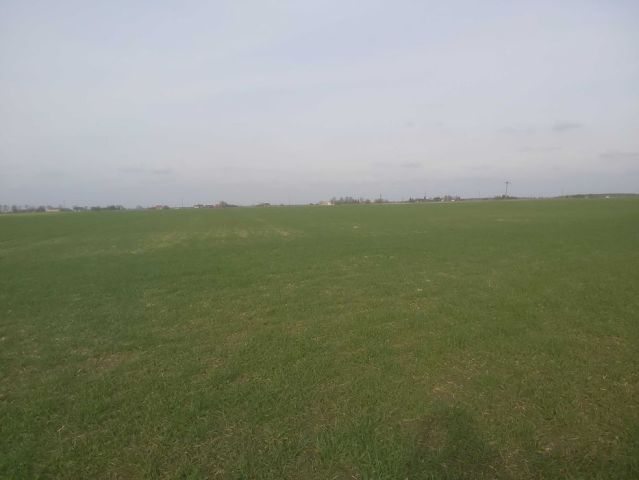 Działka rolna Gorszewice. Zdjęcie 1