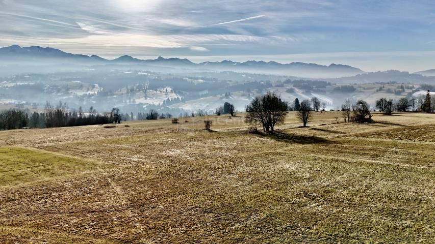 Działka rolna Czerwienne. Zdjęcie 4