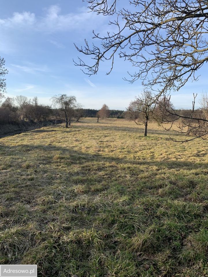 dom wolnostojący, 7 pokoi Poniec, ul. Gostyńska Szosa. Zdjęcie 9