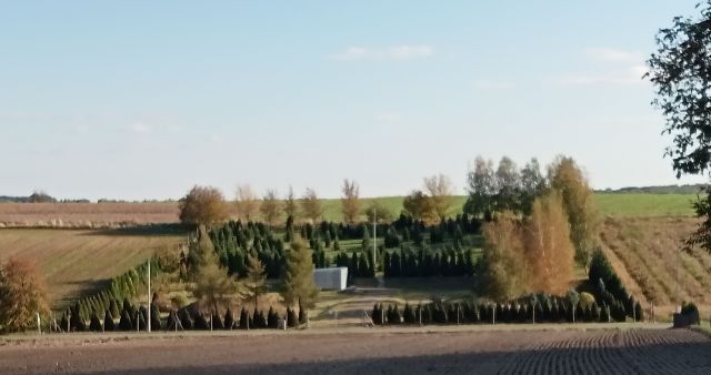 Działka siedliskowa Batycze. Zdjęcie 1