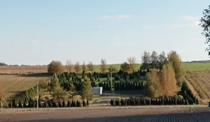 Działka siedliskowa Batycze