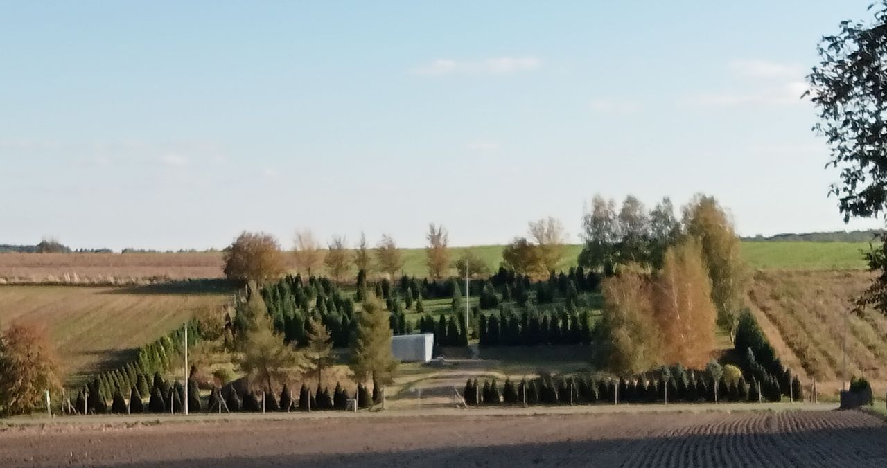 Działka siedliskowa Batycze. Zdjęcie 1