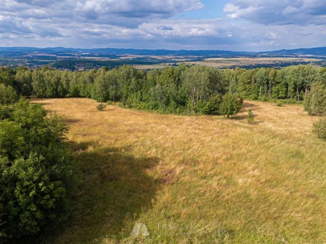 Działka rekreacyjna Polanica-Zdrój, ul. Władysława Reymonta. Zdjęcie 18