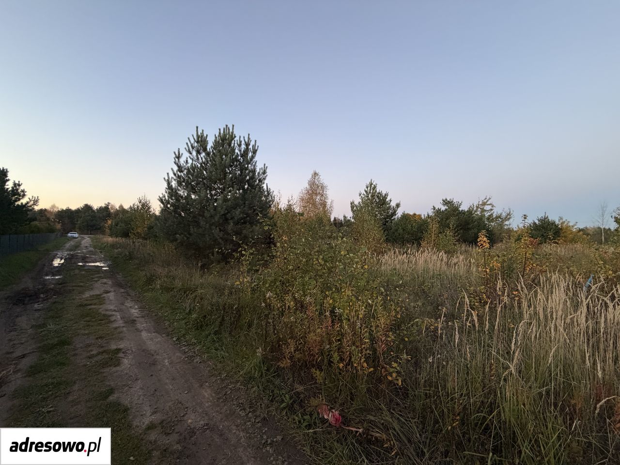 Działka budowlana Joniec-Kolonia. Zdjęcie 4