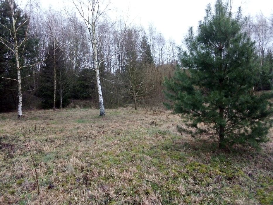 Działka siedliskowa Barwik Wilanowo, ul. Długa. Zdjęcie 2