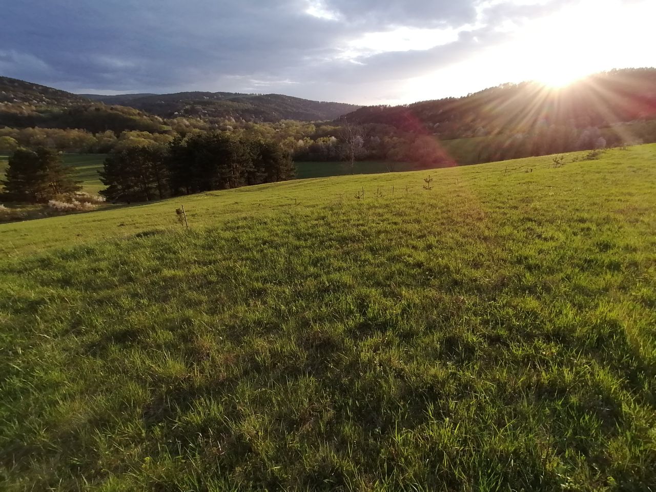 Działka rekreacyjna Rybotycze. Zdjęcie 7