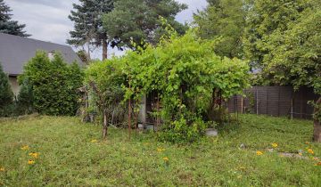 Działka rod Warszawa Paluch, ul. Ogrodników