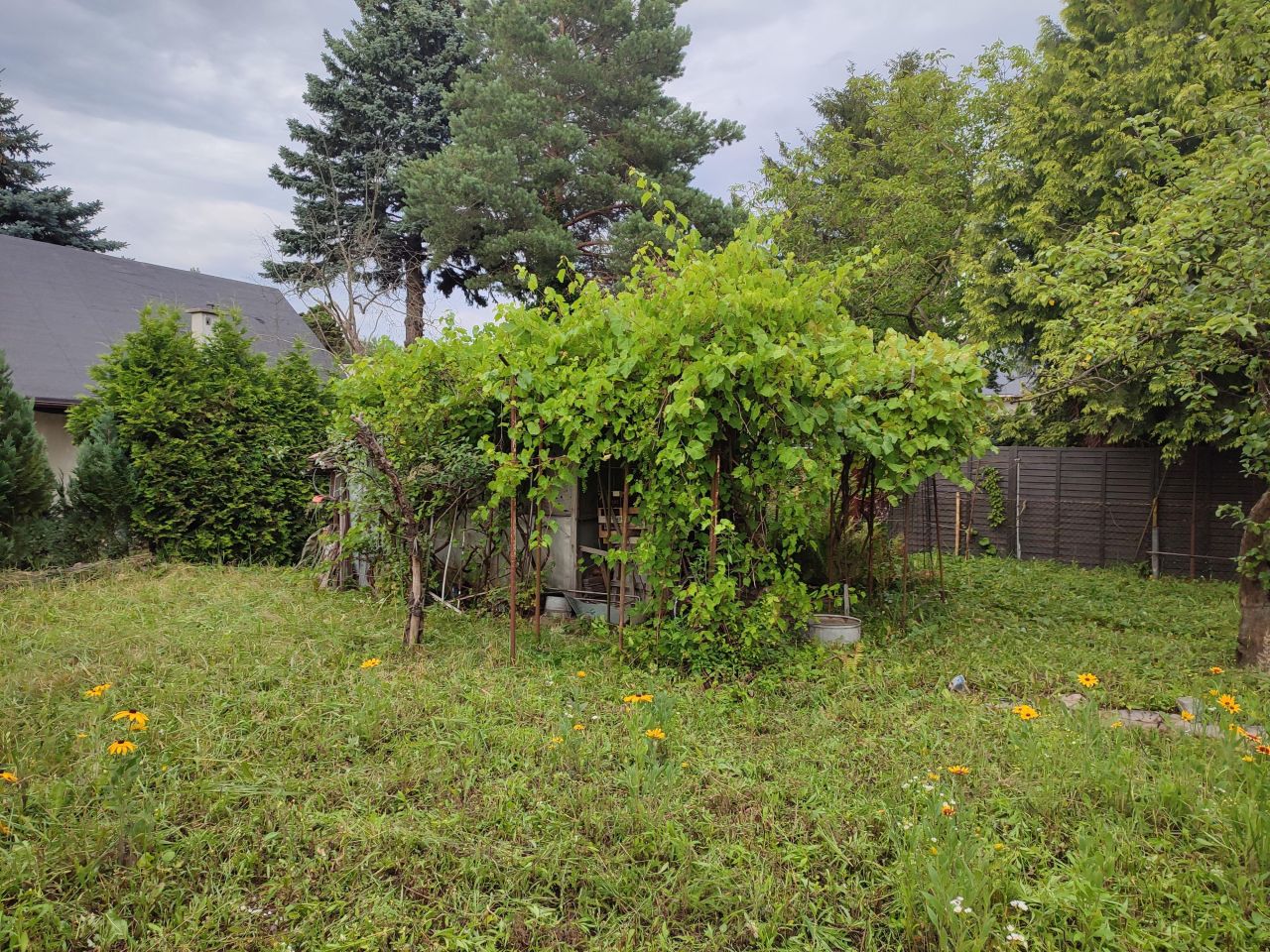 Działka rod Warszawa Paluch, ul. Ogrodników. Zdjęcie 2