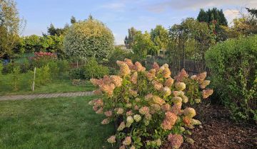 Działka rod Wągrowiec