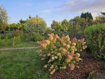 Działka rod Wągrowiec. Zdjęcie 1