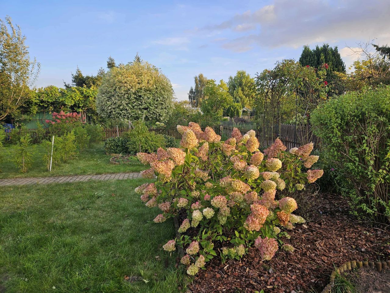 Działka rod Wągrowiec. Zdjęcie 2