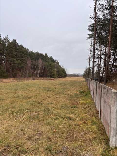 Działka budowlana Młodzawy Duże. Zdjęcie 3