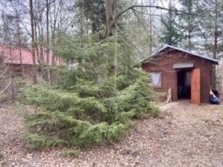 Działka rekreacyjna Łódź Łagiewniki, ul. Żółwiowa. Zdjęcie 3