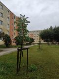 Mieszkanie 2-pokojowe Konstantynów Łódzki, ul. Zgierska. Zdjęcie 1