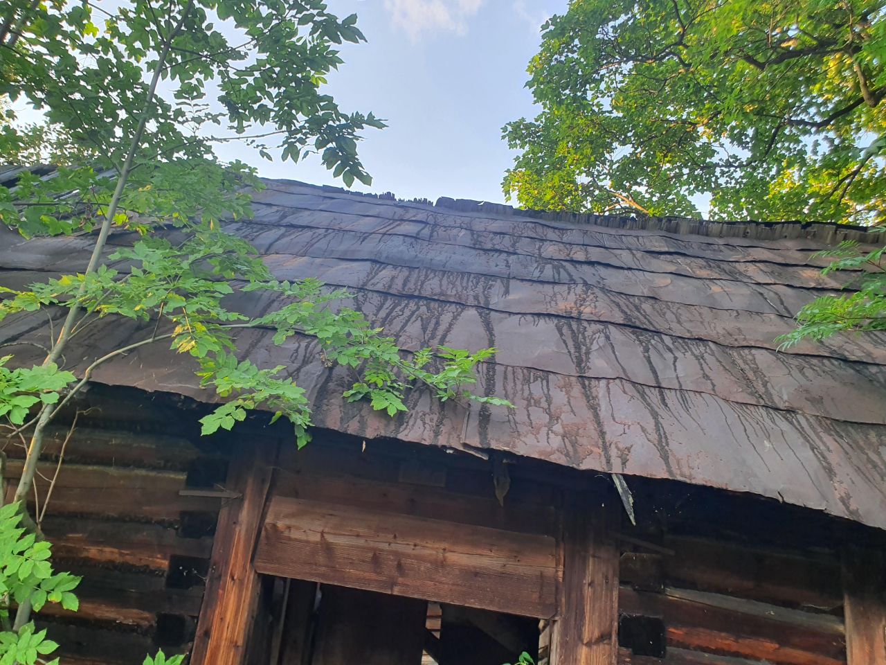 Działka rolno-budowlana Zakopane Olcza. Zdjęcie 5