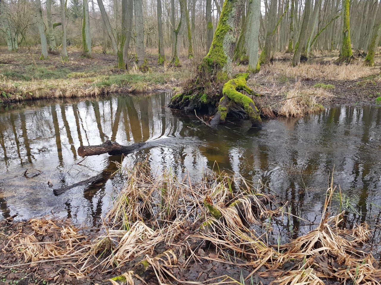 Działka inwestycyjna Wiesiółka. Zdjęcie 8
