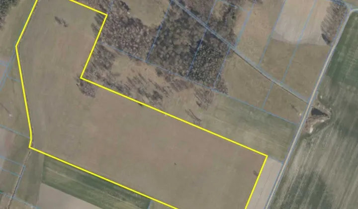 Działka rolna Widowo