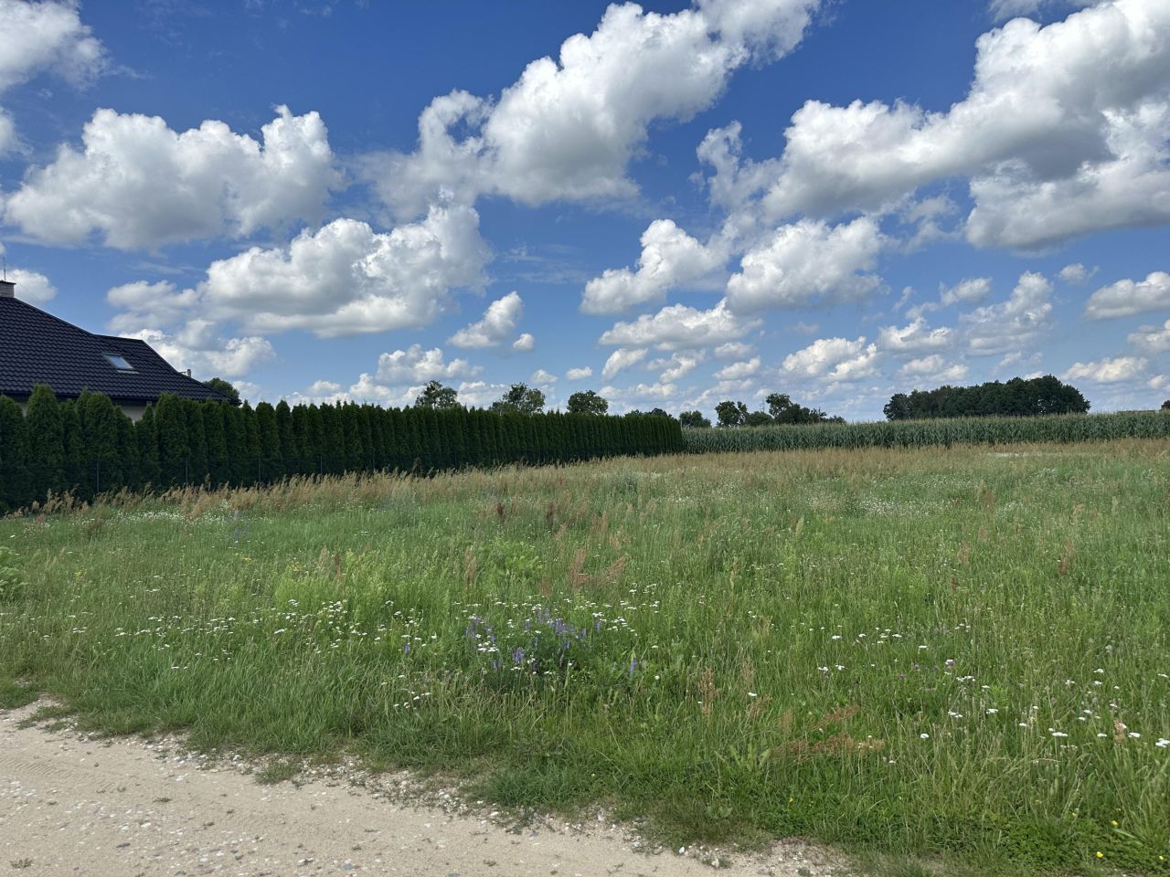 Działka budowlana Czarnowiec, ul. Błękitna. Zdjęcie 6