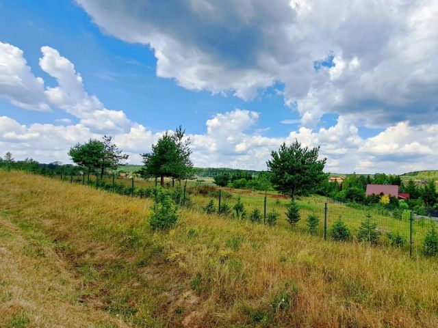 dom wolnostojący, 4 pokoje Kurki. Zdjęcie 13