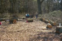 Działka budowlana Krupski Młyn, Kolonia Stary Ziętek. Zdjęcie 4
