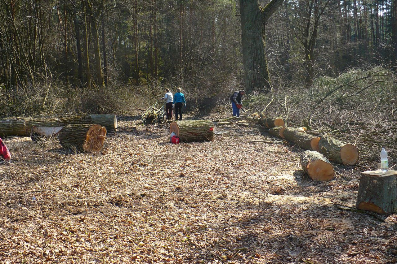 Działka budowlana Krupski Młyn, Kolonia Stary Ziętek. Zdjęcie 5