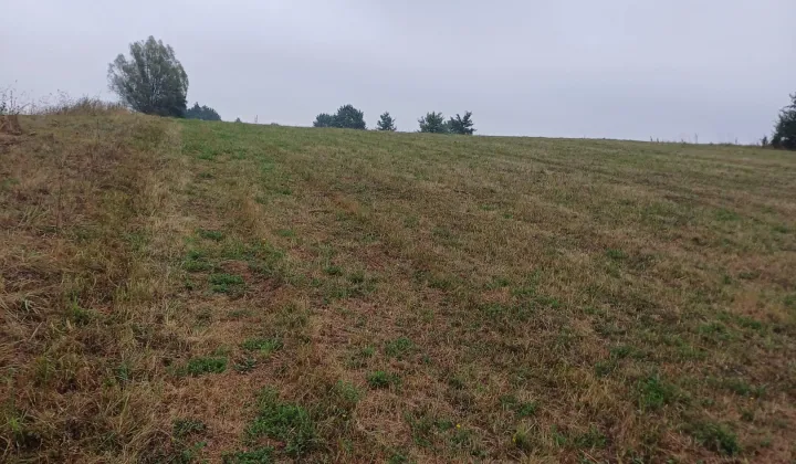 Działka rolna Miastków Kościelny, Górna