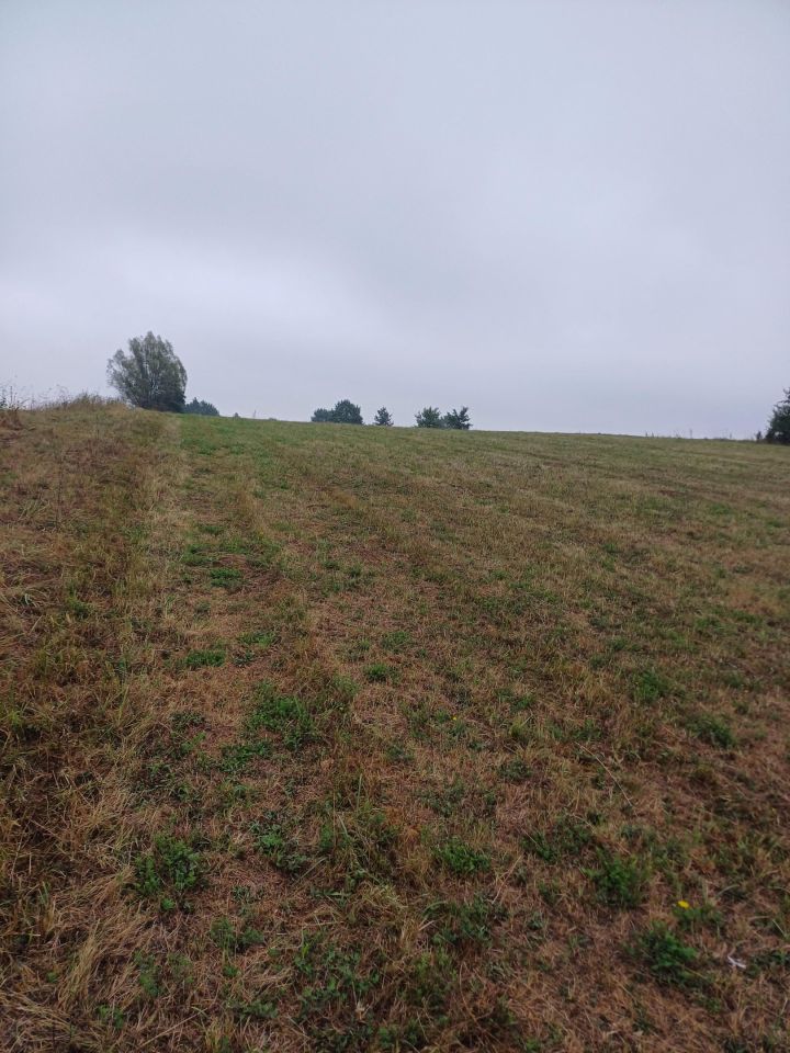 Działka rolna Miastków Kościelny, Górna. Zdjęcie 1