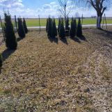 dom letniskowy, 2 pokoje Kosewo, ul. Wspólna. Zdjęcie 2