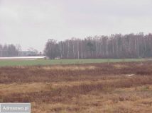Działka rolna Bielawa. Zdjęcie 1