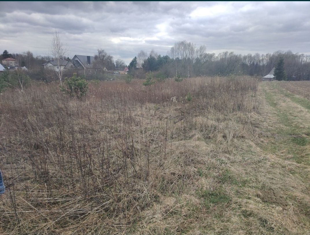 Działka budowlana Horyniec-Zdrój. Zdjęcie 3