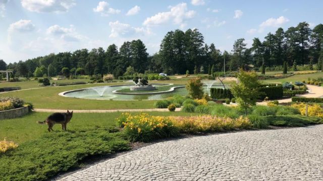 dworek, 10 pokoi Oborniki Śląskie. Zdjęcie 8