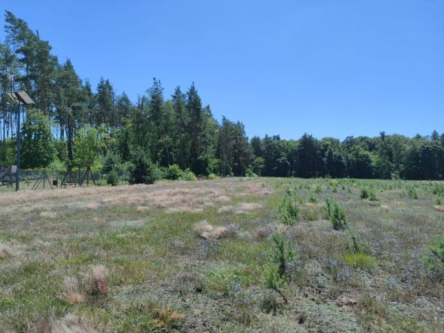 Działka budowlana Międzybłocie. Zdjęcie 1