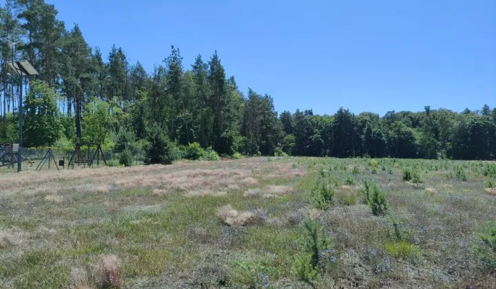 Działka budowlana Międzybłocie