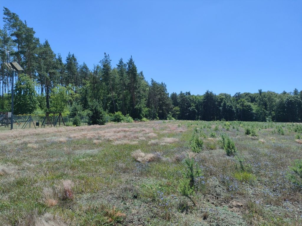 Działka budowlana Międzybłocie