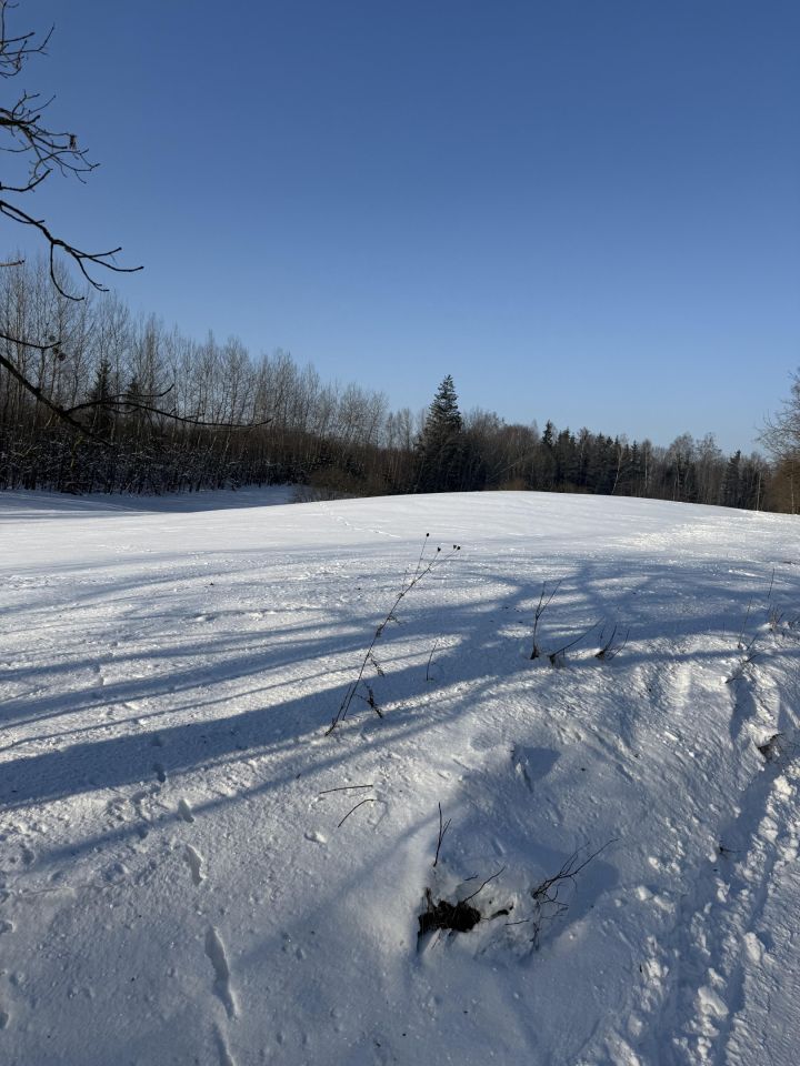 Działka rolno-budowlana Zyndaki. Zdjęcie 2