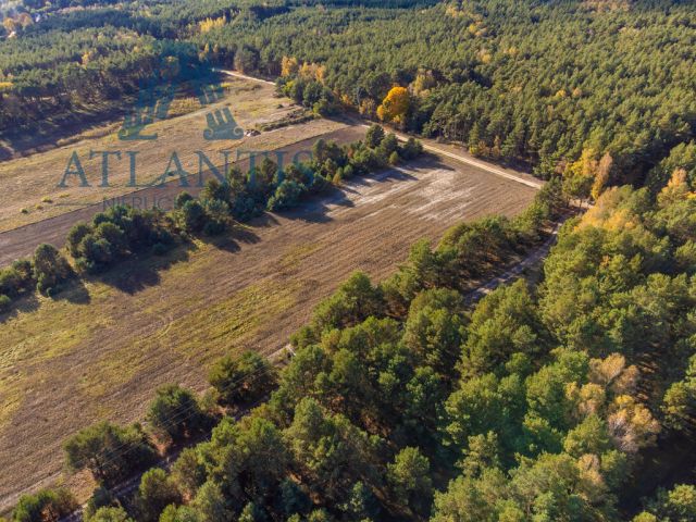 Działka budowlana Januszkowo. Zdjęcie 4