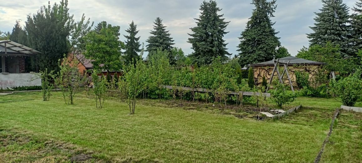Działka rod Trzcianka. Zdjęcie 5