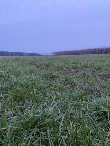 Działka budowlana Turośń Dolna, ul. Wiosenna. Zdjęcie 1