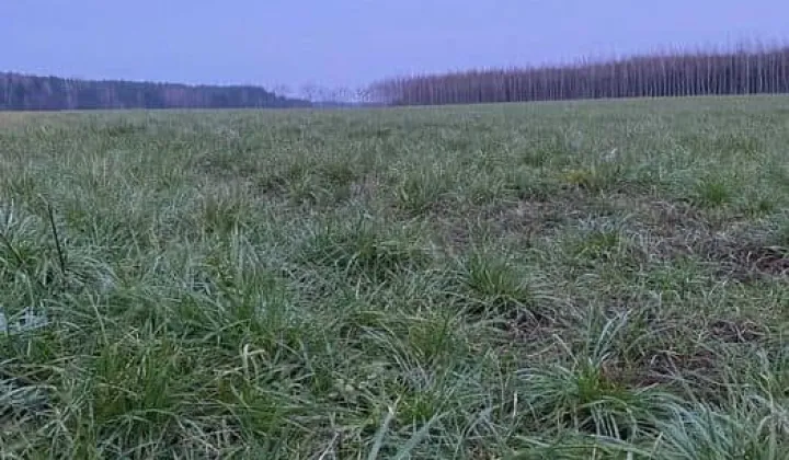 Działka budowlana Turośń Dolna, ul. Wiosenna