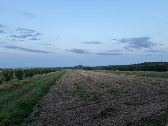 Działka rolna Wolica. Zdjęcie 1