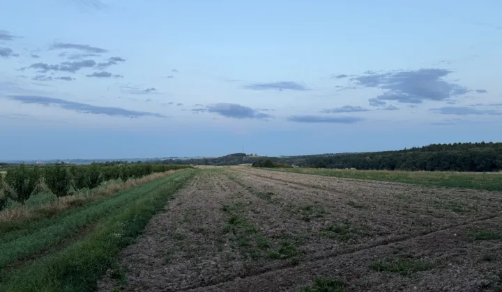 Działka rolna Wolica